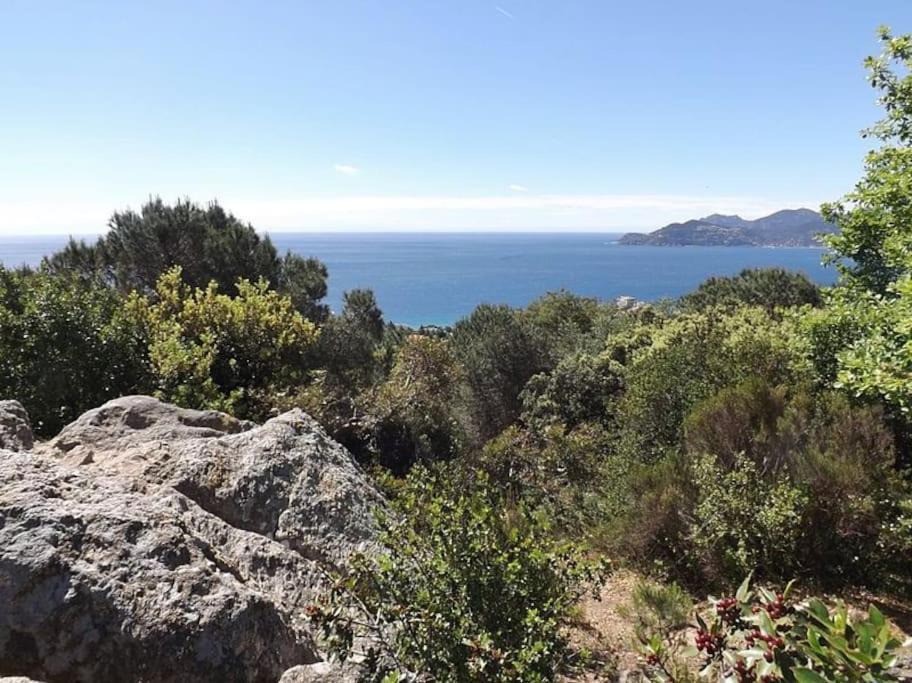 Studio Croix Des Gardes Palais Plages Cannes Dış mekan fotoğraf