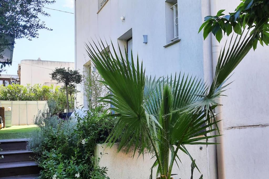 Studio Croix Des Gardes Palais Plages Cannes Dış mekan fotoğraf